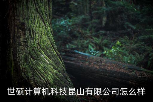 世碩計算機科技昆山有限公司怎么樣