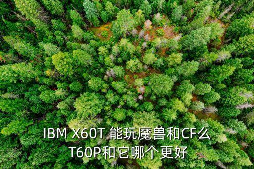 IBM X60T 能玩魔獸和CF么 T60P和它哪個(gè)更好