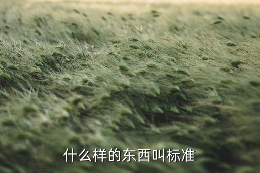 什么樣的東西叫標(biāo)準(zhǔn)