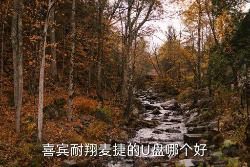 喜賓耐翔麥捷的U盤哪個(gè)好