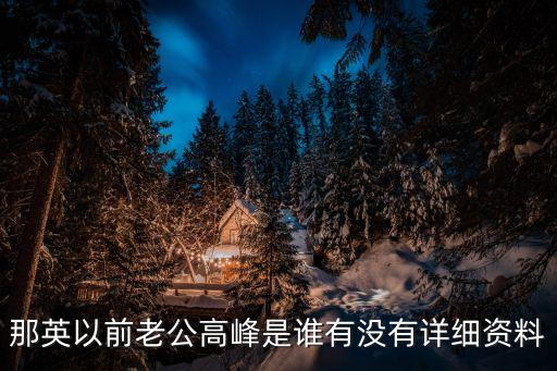 那英以前老公高峰是誰有沒有詳細(xì)資料