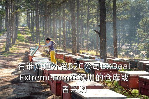 dealextreme，國內(nèi)類似蘭亭集勢類的B2C外貿(mào)平臺網(wǎng)站都有哪些