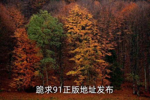 91鏈接，91源地址是什么