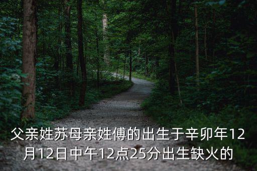 父親姓蘇母親姓傅的出生于辛卯年12月12日中午12點25分出生缺火的