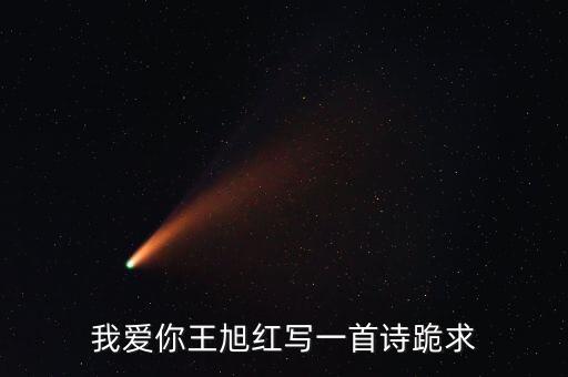王旭紅，我愛你王旭紅寫一首詩跪求