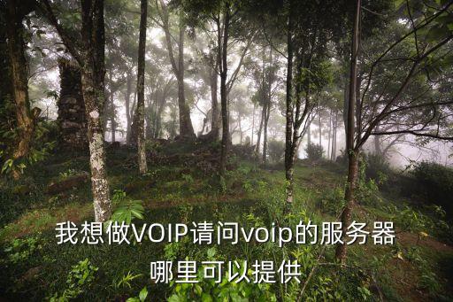 我想做VOIP請問voip的服務器哪里可以提供