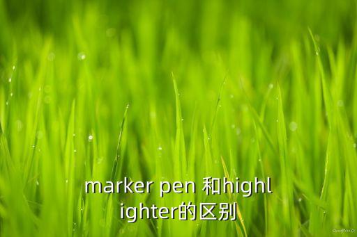 marker pen 和highlighter的區(qū)別