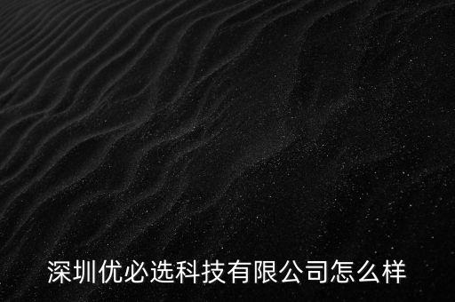 深圳優(yōu)必選科技有限公司怎么樣