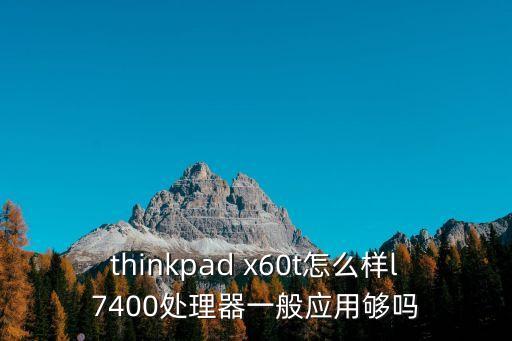 x60t，您好我想問一下IBM X60T 是L2500的酷睿雙核集成128M顯卡2