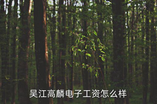 吳江高麟電子工資怎么樣