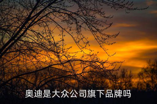 奧迪是大眾旗下的嗎，奧迪是大眾公司旗下品牌嗎