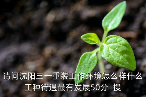 請(qǐng)問(wèn)沈陽(yáng)三一重裝工作環(huán)境怎么樣什么工種待遇最有發(fā)展50分  搜