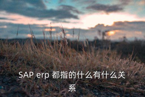 saperp，SAP erp 都指的什么有什么關(guān)系
