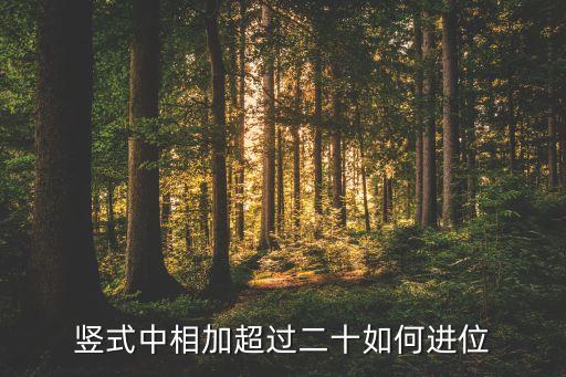 相超，豎式中相加超過二十如何進(jìn)位