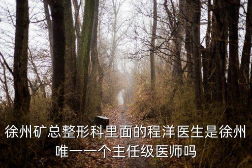程洋，徐州礦總整形科里面的程洋醫(yī)生是徐州唯一一個(gè)主任級(jí)醫(yī)師嗎