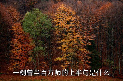 一劍曾當(dāng)百萬(wàn)師的上半句是什么