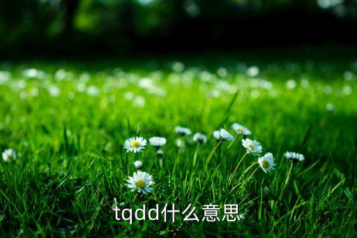 偷晴，單色凌 偷晴 的歌詞