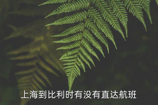 上海到比利時(shí)有沒(méi)有直達(dá)航班