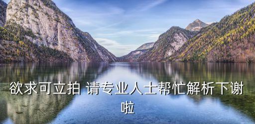 欲求可立拍 請專業(yè)人士幫忙解析下謝啦