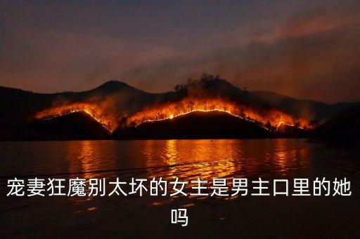 寵妻狂魔別太壞的女主是男主口里的她嗎