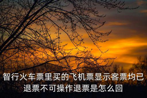 智行火車票里買的飛機(jī)票顯示客票均已退票不可操作退票是怎么回