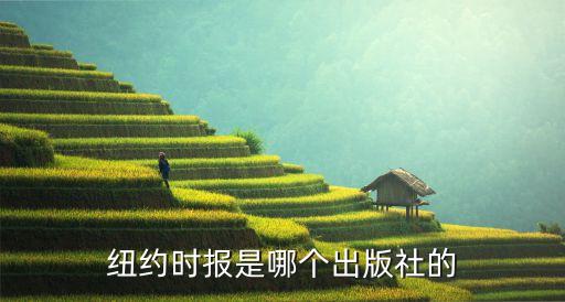 紐約時(shí)報(bào)，紐約時(shí)報(bào)是哪個(gè)國家的
