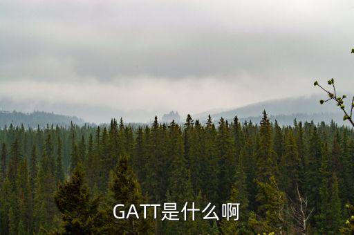 GATT是什么啊