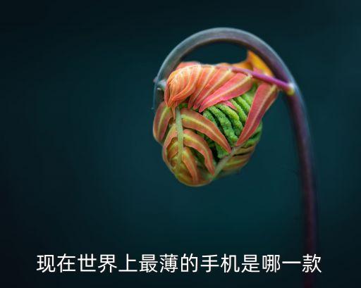 最薄手機(jī)，現(xiàn)在世界上最薄的手機(jī)是哪一款