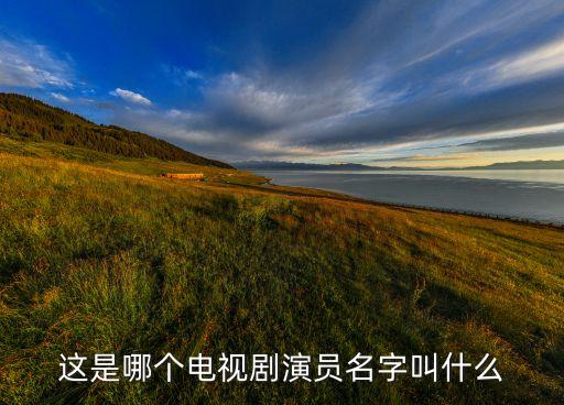 這是哪個電視劇演員名字叫什么