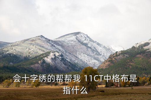 格布，會十字繡的幫幫我 11CT中格布是指什么