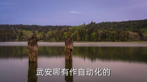 武安哪有作自動(dòng)化的