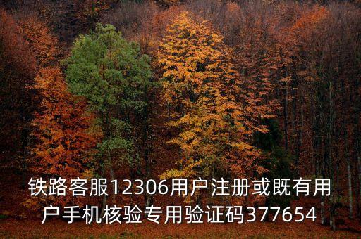 12306驗(yàn)證碼，12306驗(yàn)證碼怎么用