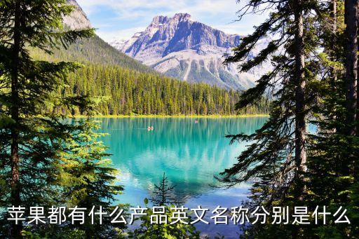 蘋果都有什么產(chǎn)品英文名稱分別是什么