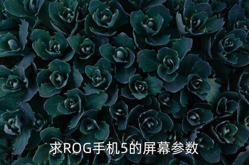 求ROG手機(jī)5的屏幕參數(shù)