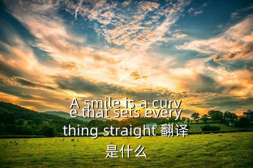 A smile is a curve that sets everything straight 翻譯是什么