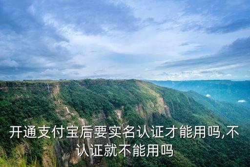 開通支付寶后要實(shí)名認(rèn)證才能用嗎,不認(rèn)證就不能用嗎