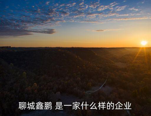 聊城鑫鵬 是一家什么樣的企業(yè)