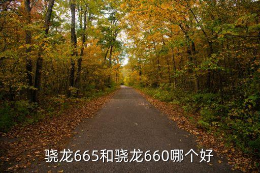 驍龍665和驍龍660哪個好