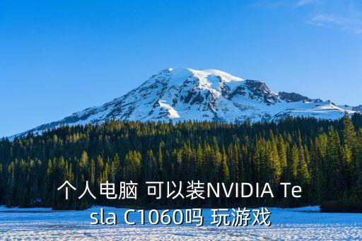 個人電腦 可以裝NVIDIA Tesla C1060嗎 玩游戲