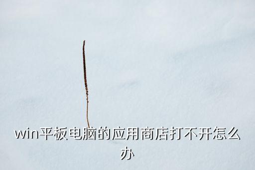 平板應(yīng)用商店，怎么在小天才平板電腦下載應(yīng)用商店