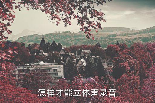 怎樣才能立體聲錄音