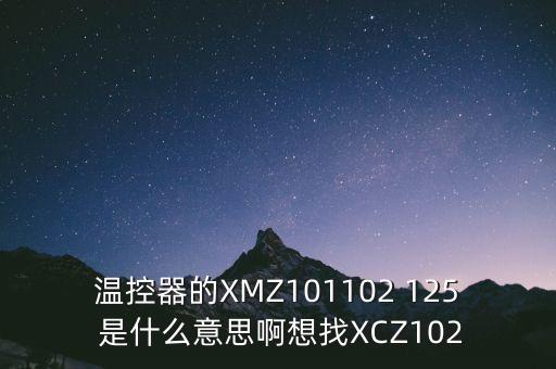 溫控器的XMZ101102 125 是什么意思啊想找XCZ102