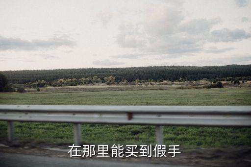 在那里能買到假手
