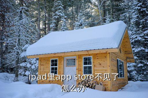 ipad里app store不見了怎么辦