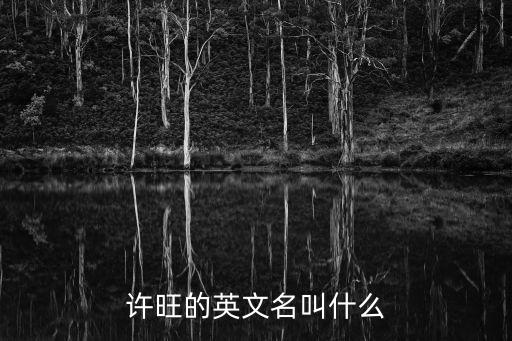 許旺的英文名叫什么