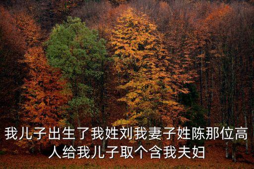 我兒子出生了我姓劉我妻子姓陳那位高人給我兒子取個含我夫婦