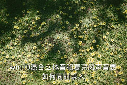 win10混合立體音和麥克風(fēng)聲音要如何同時(shí)錄入