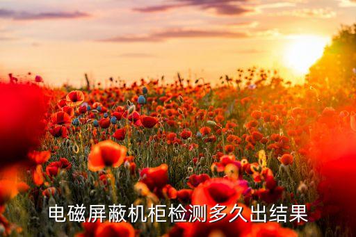 電磁屏蔽機(jī)柜檢測(cè)多久出結(jié)果