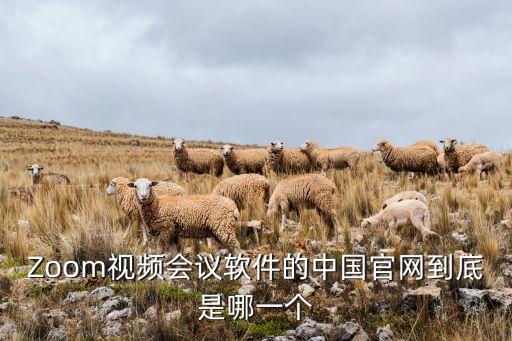 Zoom視頻會議軟件的中國官網(wǎng)到底是哪一個