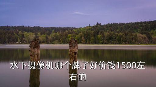水下攝像機(jī)哪個牌子好價錢1500左右的